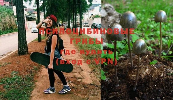 ECSTASY Киреевск