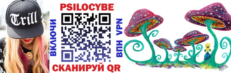 Купить  Инта  Псилоцибиновые грибы Magic Shrooms 